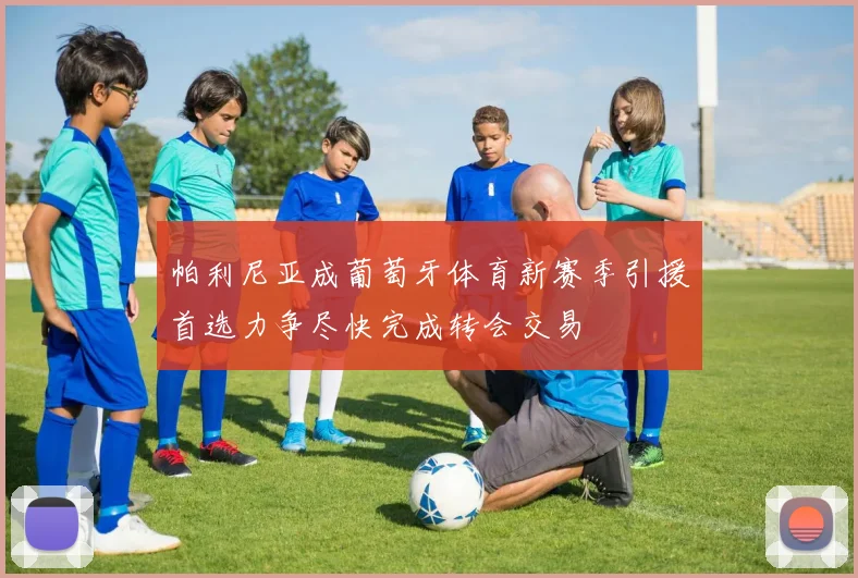 帕利尼亚成葡萄牙体育新赛季引援首选力争尽快完成转会交易