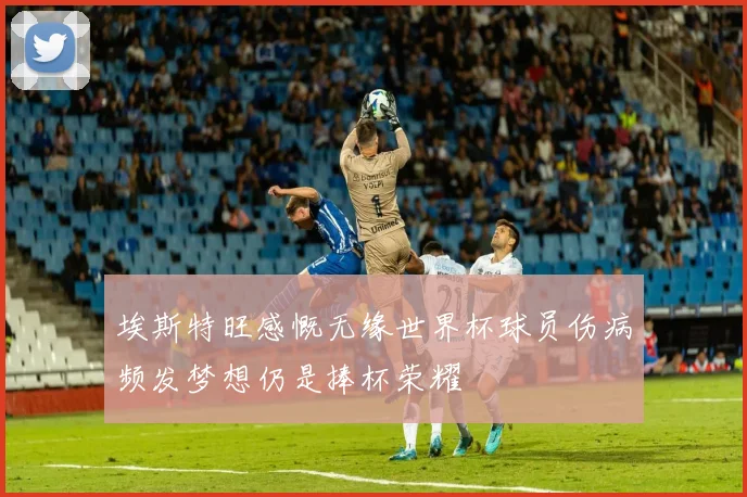 埃斯特旺感慨无缘世界杯球员伤病频发梦想仍是捧杯荣耀